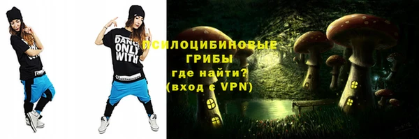 дживик Бронницы