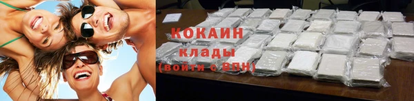 дживик Бронницы