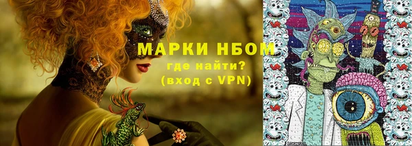 Альфа ПВП Аша
