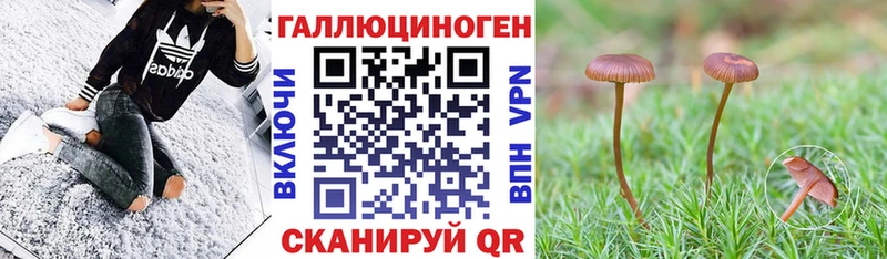 OMG сайт  Гудермес  Псилоцибиновые грибы Magic Shrooms 